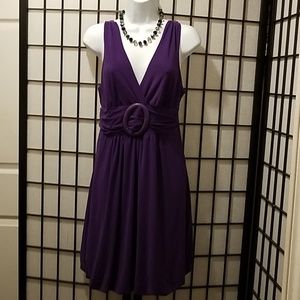 Chesley Purple Dress size L NWT